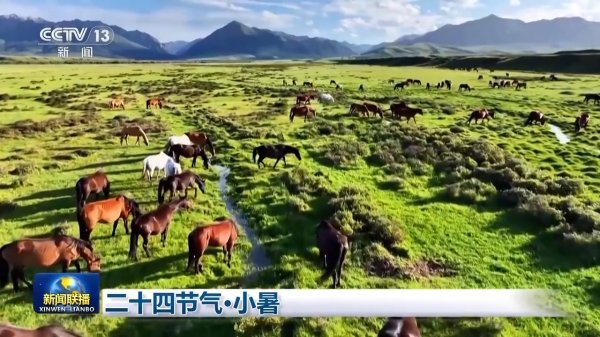 贵丰配资 文化中国行丨二十四节气·小暑 感受节气里的自然律动