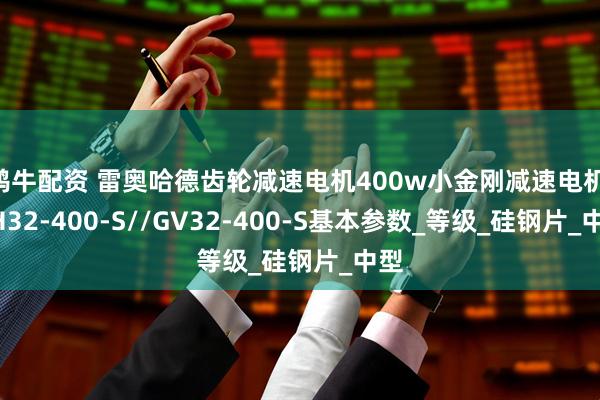 鸿牛配资 雷奥哈德齿轮减速电机400w小金刚减速电机 GH32-400-S//GV32-400-S基本参数_等级_硅钢片_中型