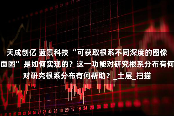 天成创亿 蓝景科技 “可获取根系不同深度的图像并合成整体根系剖面图” 是如何实现的？这一功能对研究根系分布有何帮助？_土层_扫描