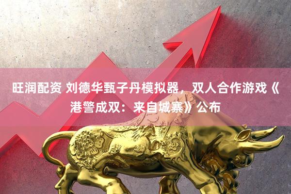 旺润配资 刘德华甄子丹模拟器，双人合作游戏《港警成双：来自城寨》公布