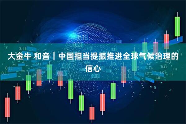 大金牛 和音｜中国担当提振推进全球气候治理的信心