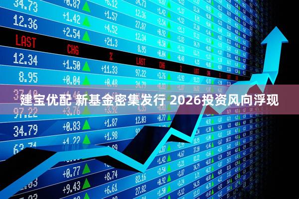 建宝优配 新基金密集发行 2026投资风向浮现